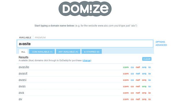 domize-logo_avasite_2