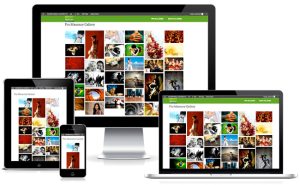 گالری عکس حرفه ای