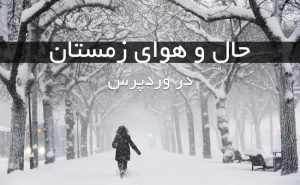 افزونه بارش برف در وردپرس